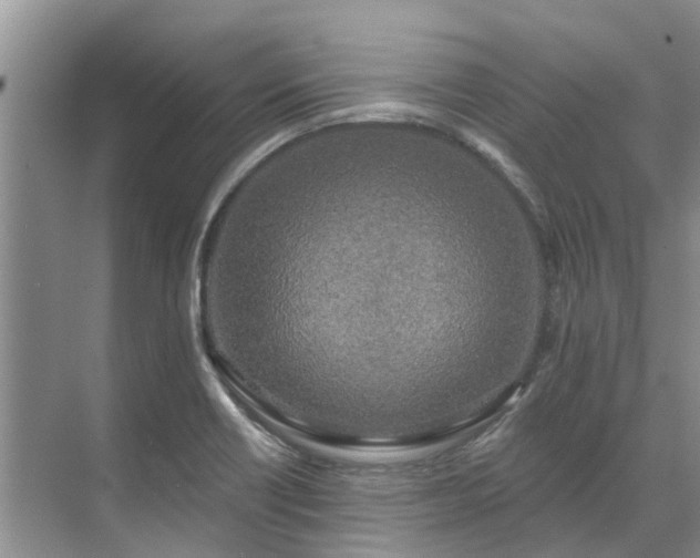 X0000071771418200607071250