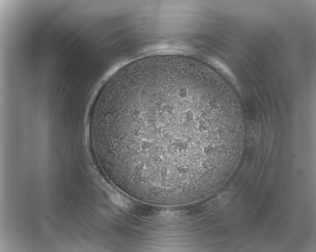 X0000071771419200607071250