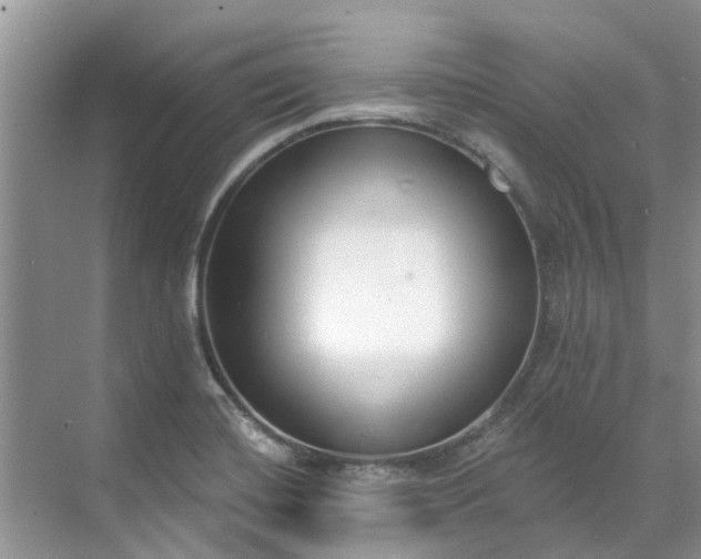 X0000071771420200607071250