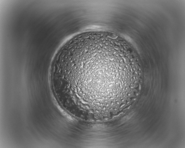 X0000071771421200607071250