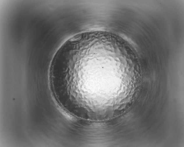 X0000071771423200607071250