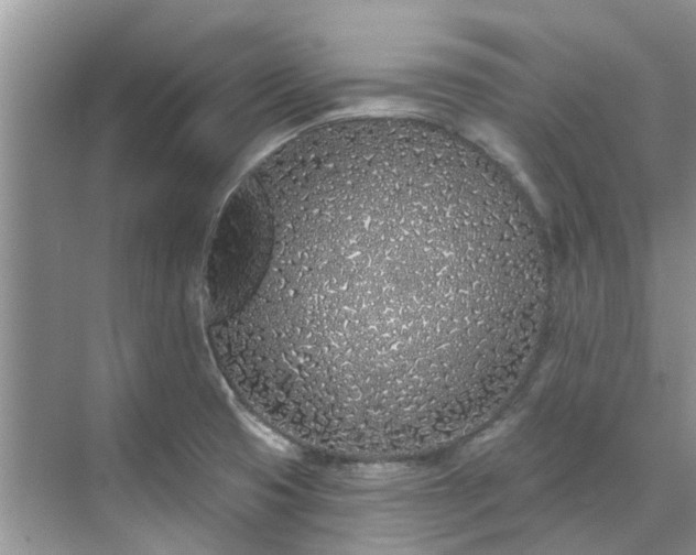 X0000071771425200607071250