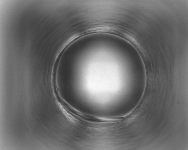 X0000071771426200607071250