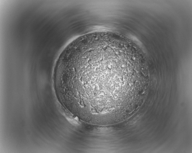 X0000071771427200607071250