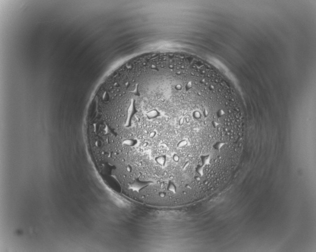 X0000071771429200607071250