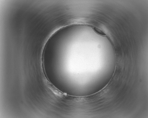 X0000071771435200607071250