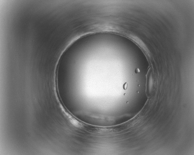 X0000071771439200607071250