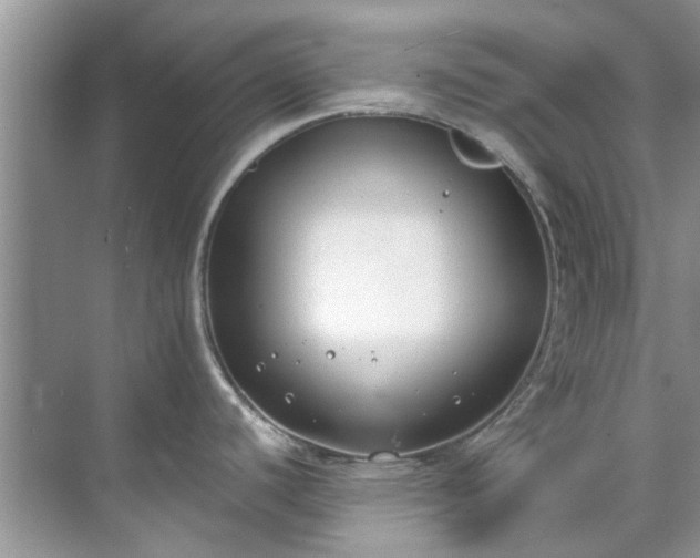 X0000071771440200607071250