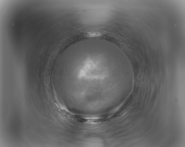 X0000071771441200607071249