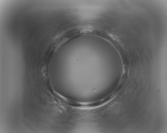 X0000071771445200607071249