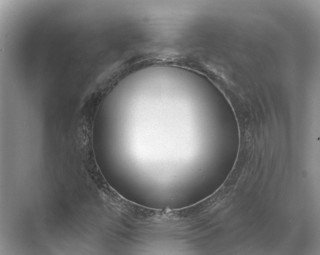 X0000071771447200607071249