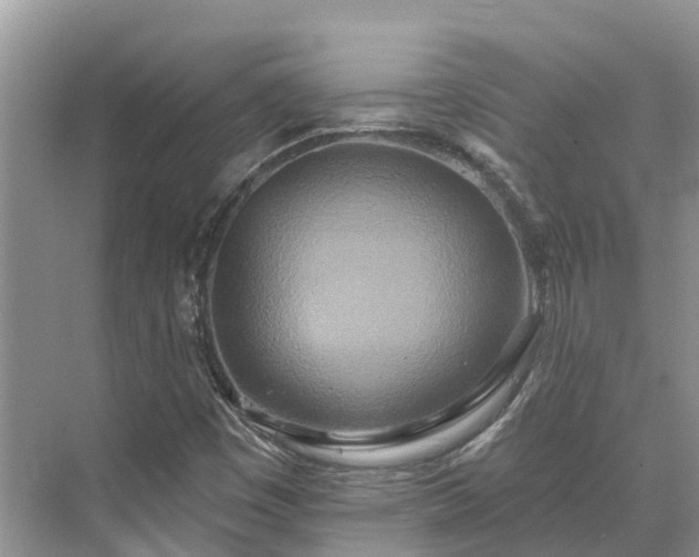 X0000071771449200607071249