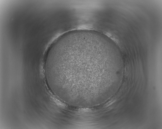 X0000071771454200607071249