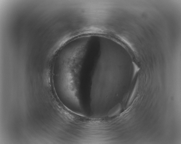 X0000071771455200607071249