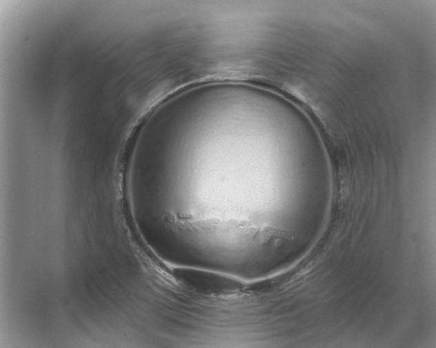 X0000071771459200607071249