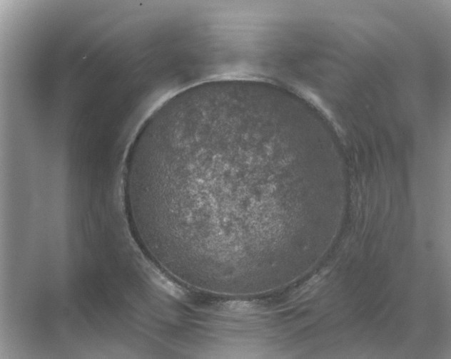 X0000071771463200607071249