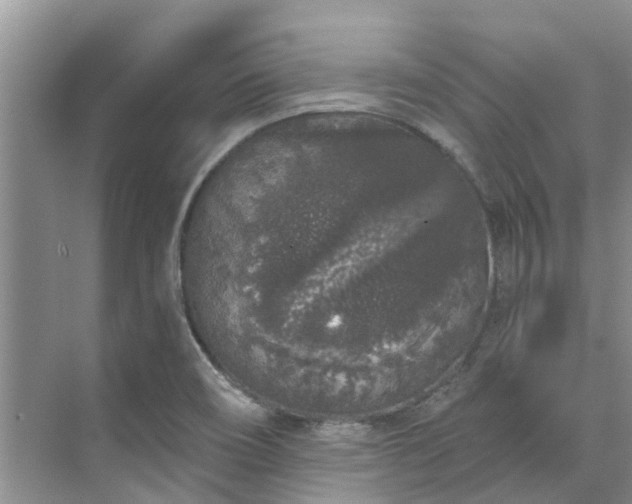 X0000071771466200607071249