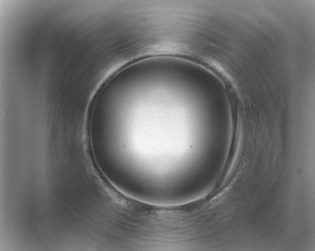 X0000071771469200607071249