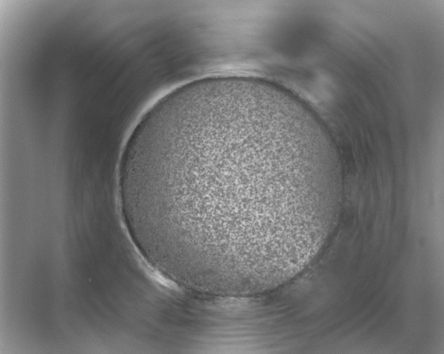 X0000071771470200607071249