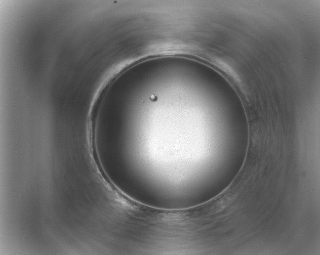 X0000071771472200607071249