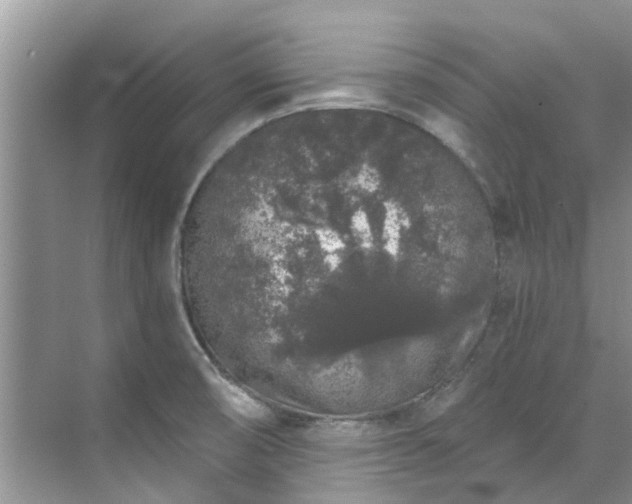 X0000071771474200607071249