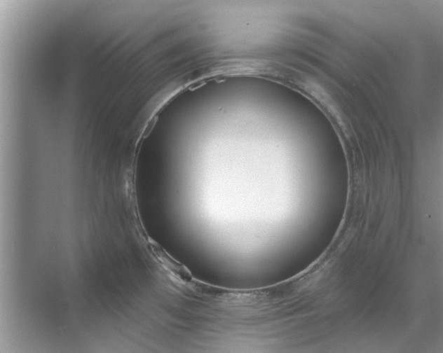 X0000071771481200607071249