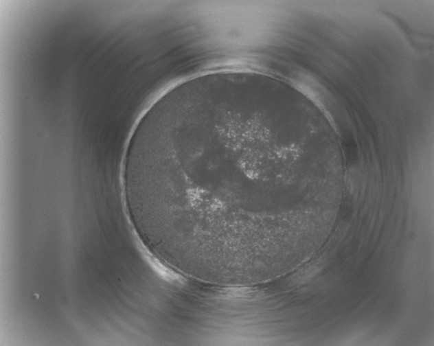 X0000071771482200607071249