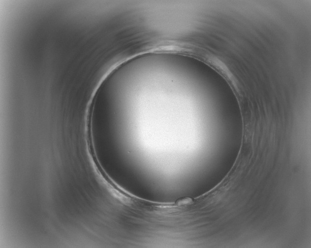 X0000071771483200607071249