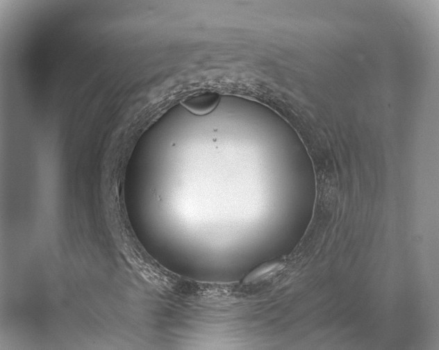 X0000071771489200607071248