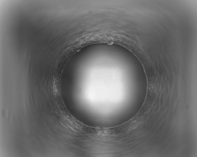 X0000071771490200607071248