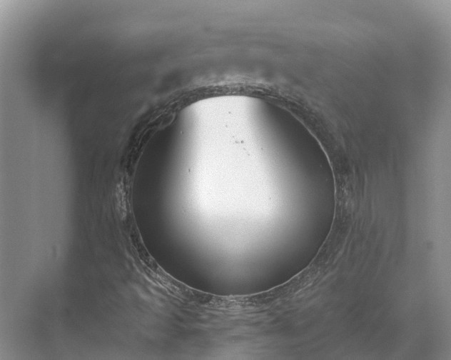 X0000071771493200607071248