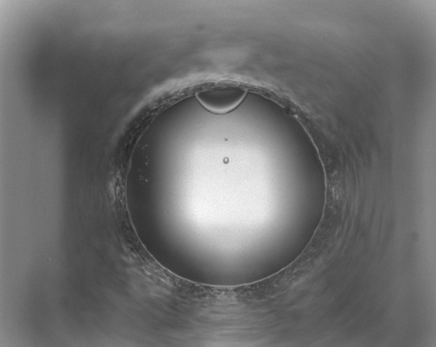 X0000071771495200607071248