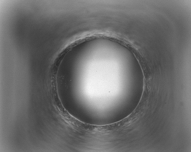 X0000071771496200607071248