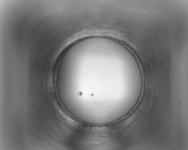 X0000071771498200607071248