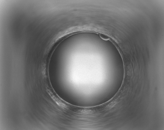 X0000071771499200607071248