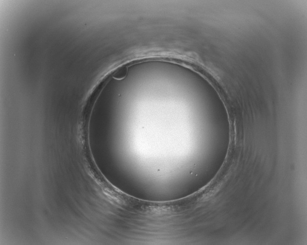 X0000071771501200607071248