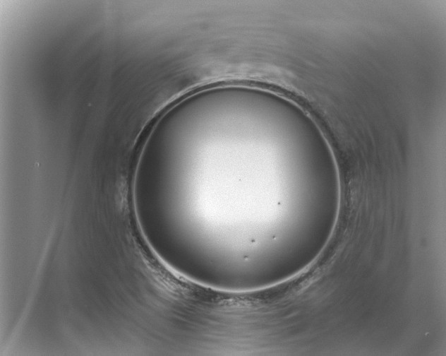 X0000071771505200607071248