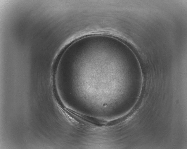 X0000071771506200607071248