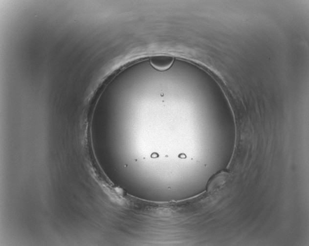 X0000071771507200607071248