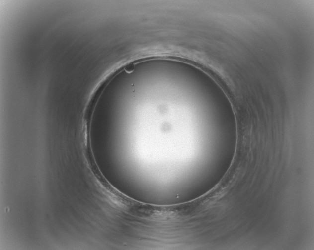 X0000071771509200607071248