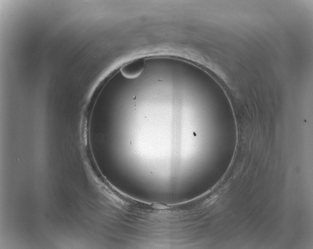 X0000071771510200607071248