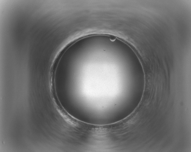 X0000071771511200607071248