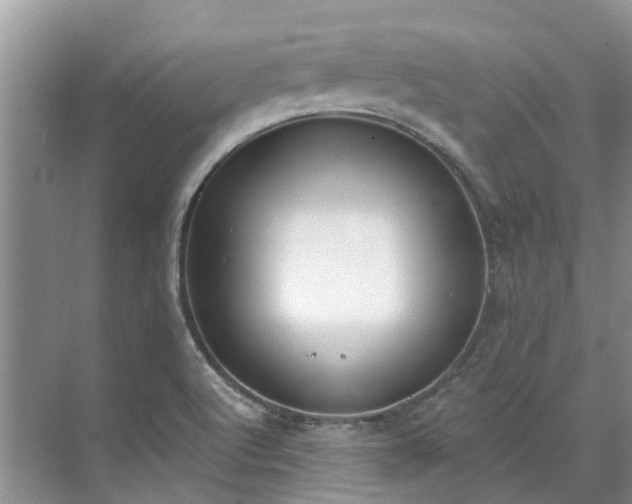 X0000071771512200607071248