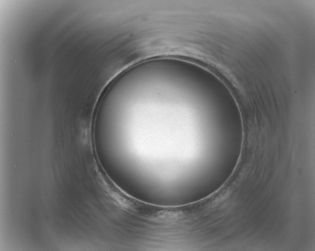 X0000071771513200607071248