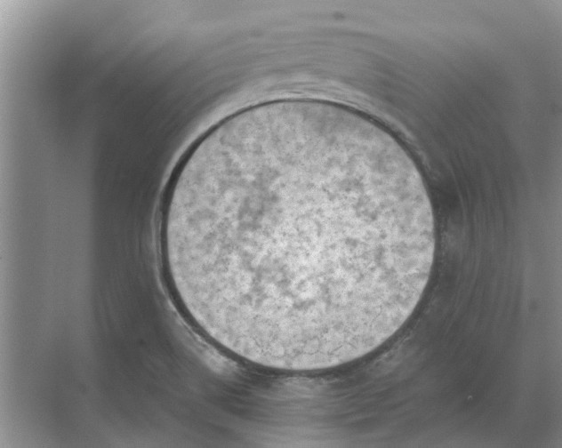 X0000071771514200607071248