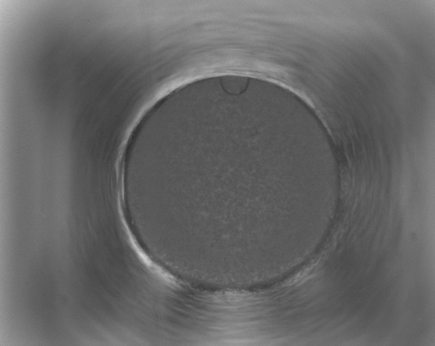 X0000071771515200607071248