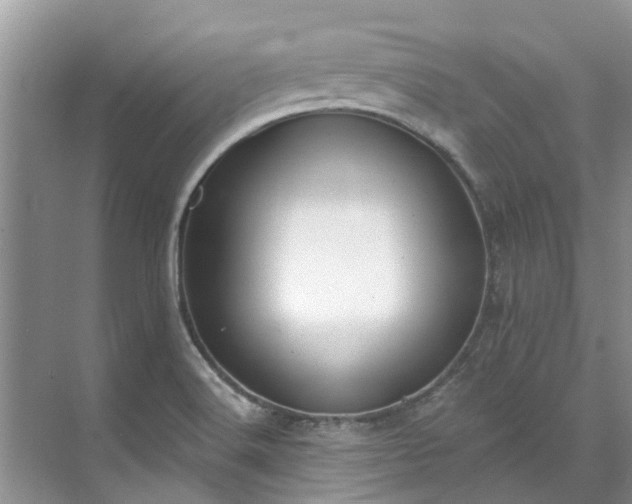 X0000071771516200607071248