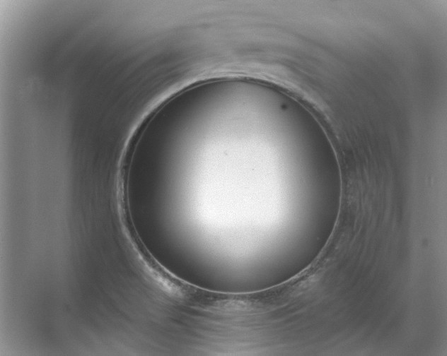 X0000071771517200607071248