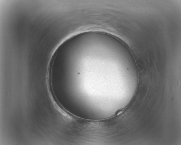 X0000071771518200607071248