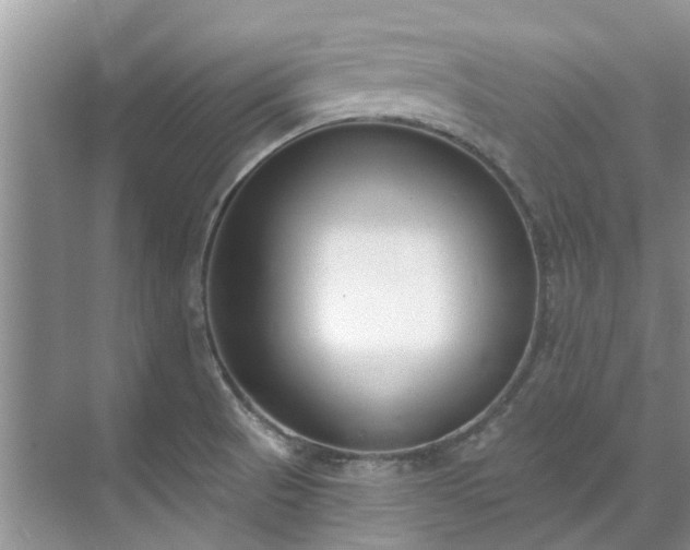 X0000071771521200607071248